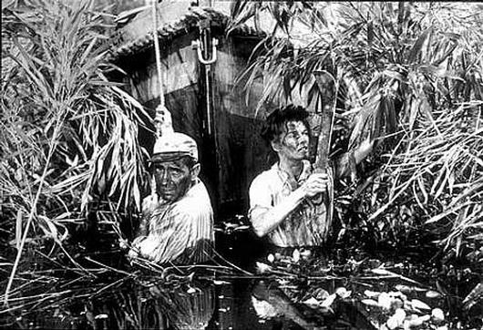 'La regina d'Africa', con Humphrey Bogart