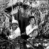 'La regina d'Africa', con Humphrey Bogart