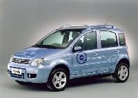 Panda Hydrogen
