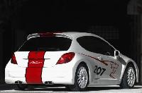 207 Rcup
