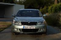 Octavia berlina