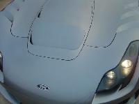 Sagaris
