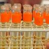 Doping, tutti negativi Finora 452 controlli