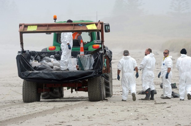 Marea nera, emergenza ambientale in Nuova Zelanda