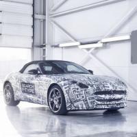 F-Type