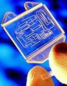 La rivoluzione dell'infinitamente piccolo A Venezia per il futuro delle nanotecnologie