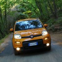 Panda Trekking