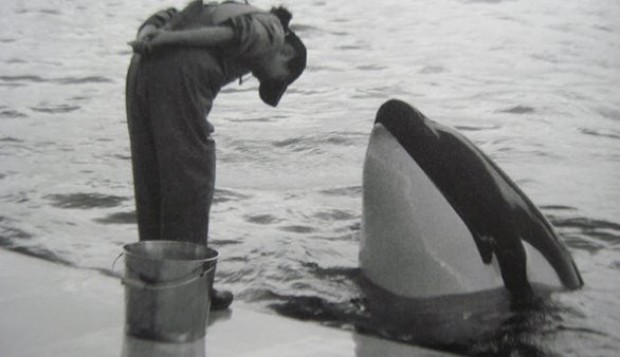 Le foto scelte per vivere "in eterno"