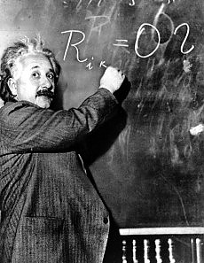 Einstein: il segreto dell'intelligenza cervello piccolo, ma pieno di curve