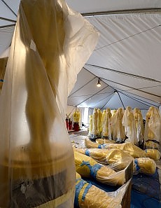 Tutto pronto per la Notte delle Stelle e tu di che tendenza da Oscar sei?