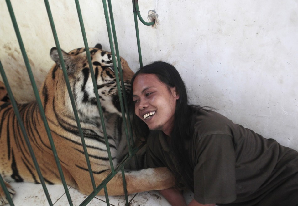 Saleh e una tigre per amica