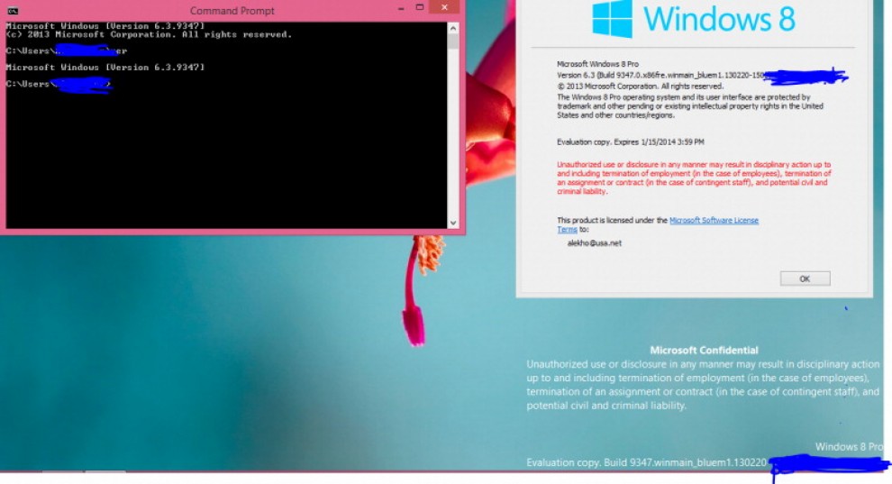 Windows Blue, sul web le prime schermate