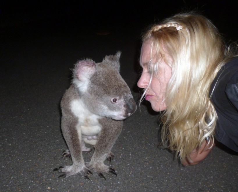 Australia, il bacio del koala alla bionda