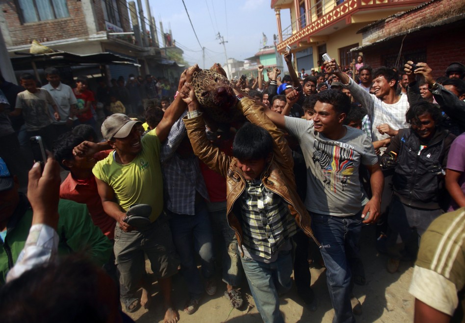Nepal, l'uccisione del leopardo diventa una festa