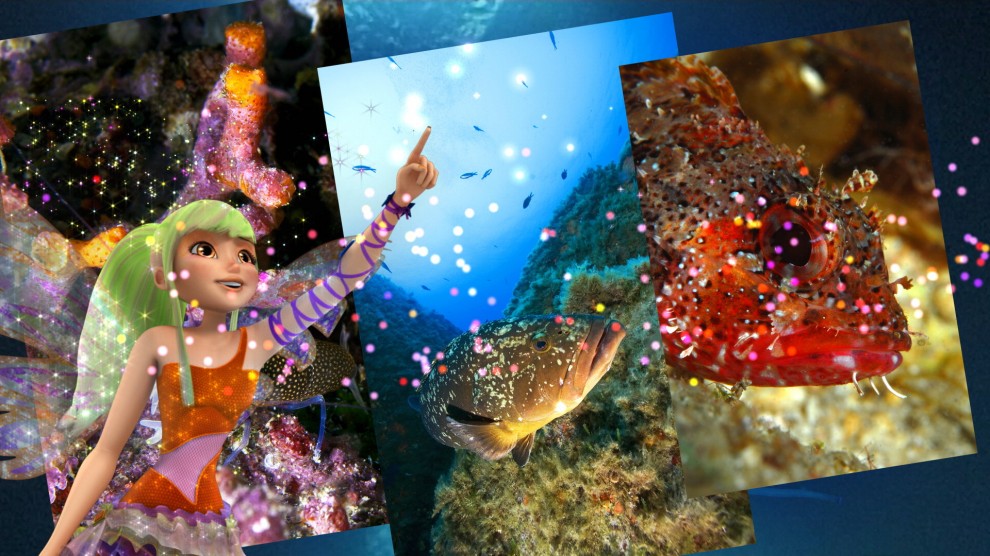 Con le Winx alla scoperta delle aree marine protette