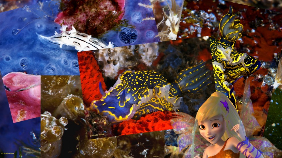 Con le Winx alla scoperta delle aree marine protette