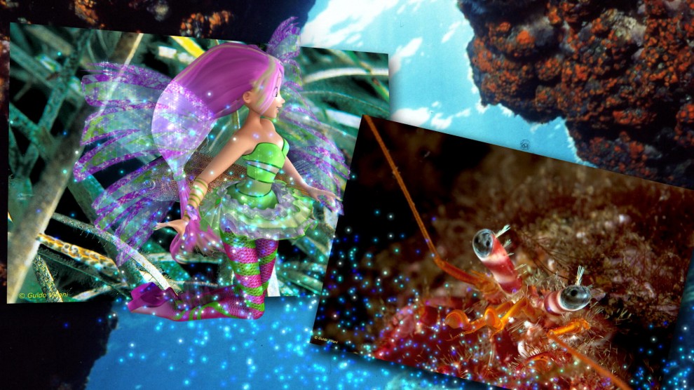 Con le Winx alla scoperta delle aree marine protette