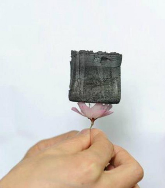 Grafene Aerogel, il materiale pi&ugrave; leggero del mondo