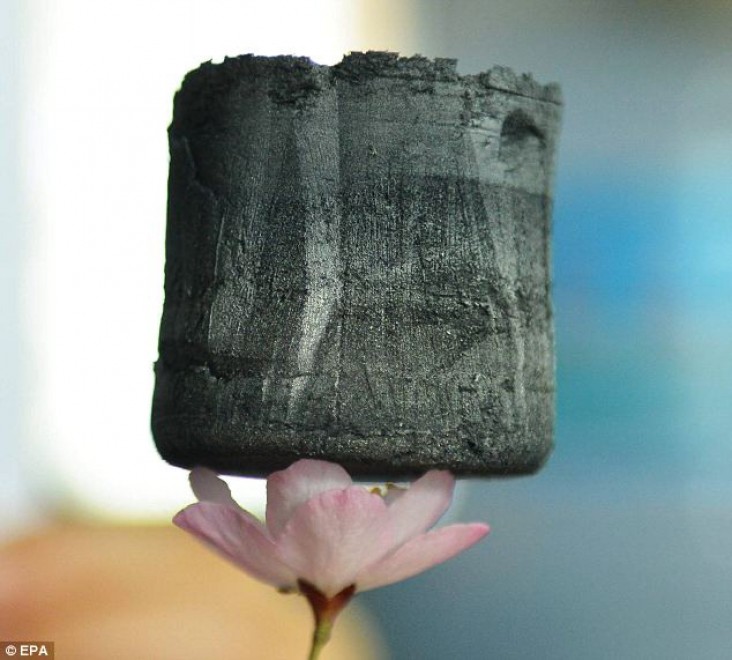 Grafene Aerogel, il materiale pi&ugrave; leggero del mondo