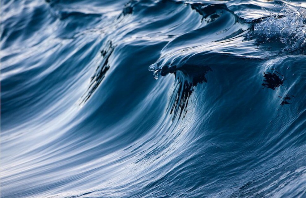 Sculture liquide: l'arte sulla cresta dell'onda