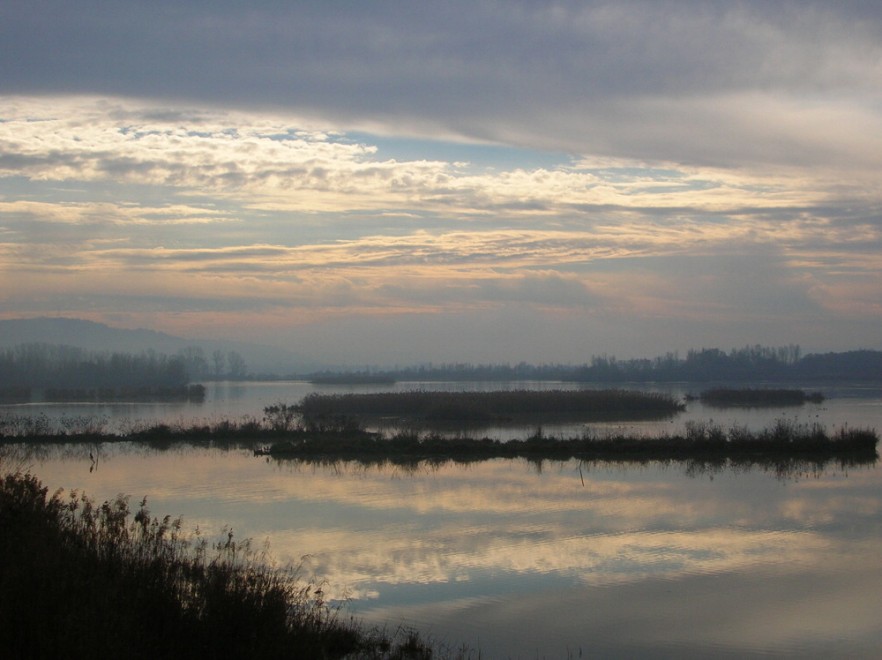 Sos natura, quante oasi Wwf da salvaguardare / 1