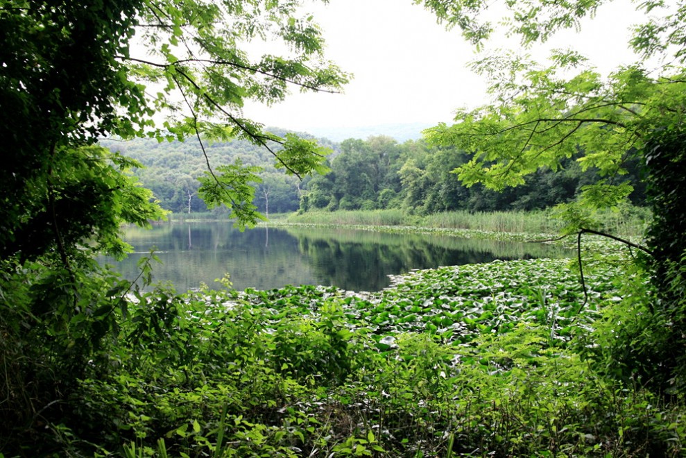 Sos natura, quante oasi Wwf da salvaguardare / 1