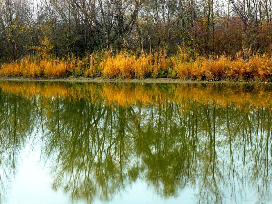 Sos natura, quante oasi Wwf da salvaguardare / 1