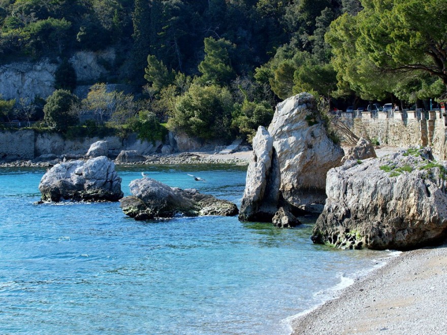 Sos natura, quante oasi Wwf da salvaguardare / 1