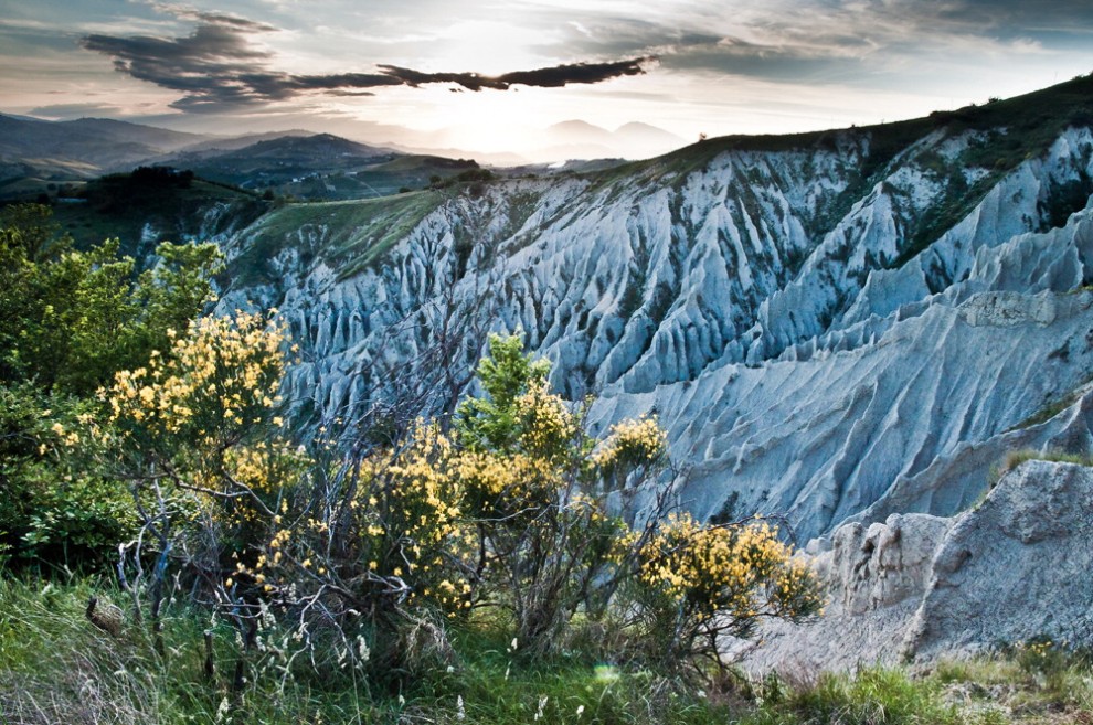 Sos natura, quante oasi Wwf da salvaguardare / 1