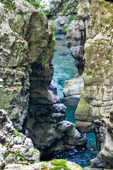 Sos natura, quante oasi Wwf da salvaguardare / 1
