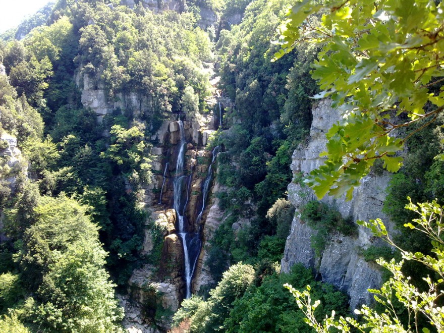 Sos natura, quante oasi Wwf da salvaguardare / 1