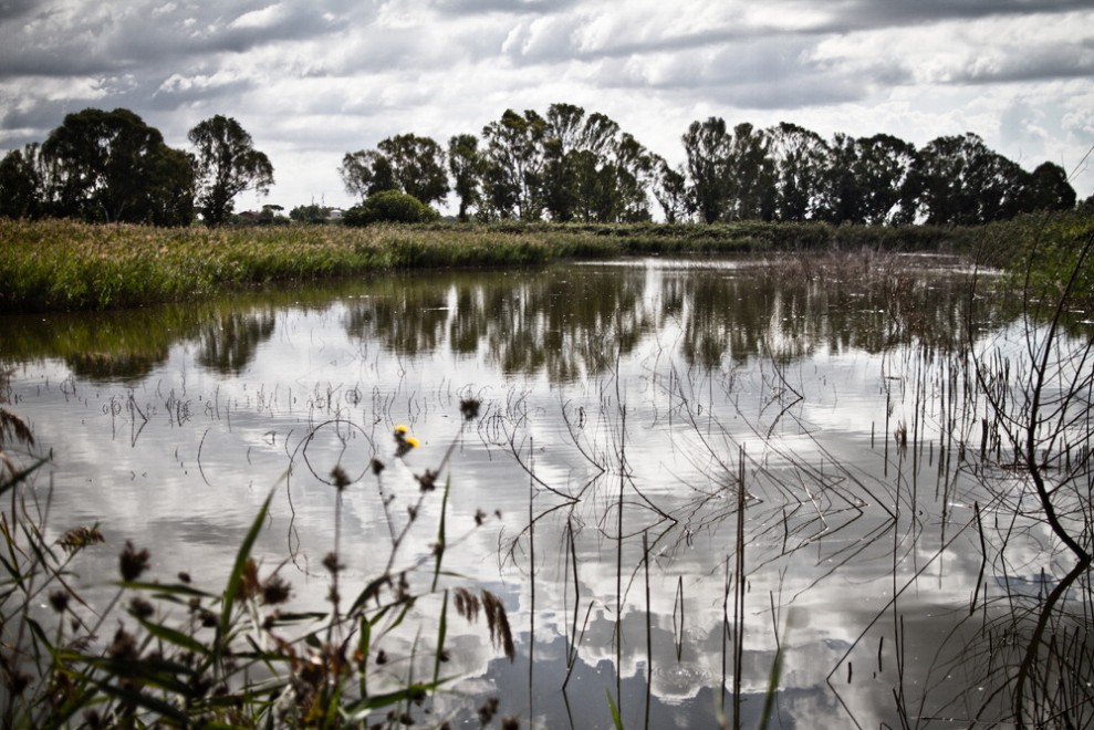 Sos natura, quante oasi Wwf da salvaguardare / 2
