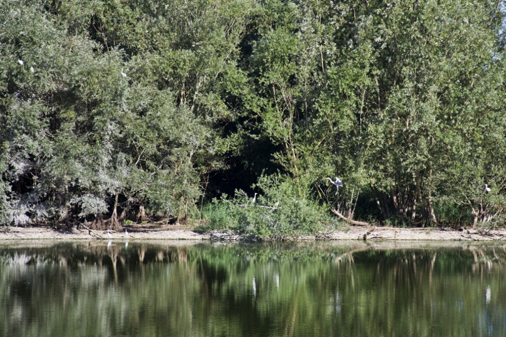Sos natura, quante oasi Wwf da salvaguardare / 2