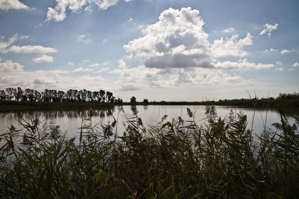 Sos natura, quante oasi Wwf da salvaguardare / 2