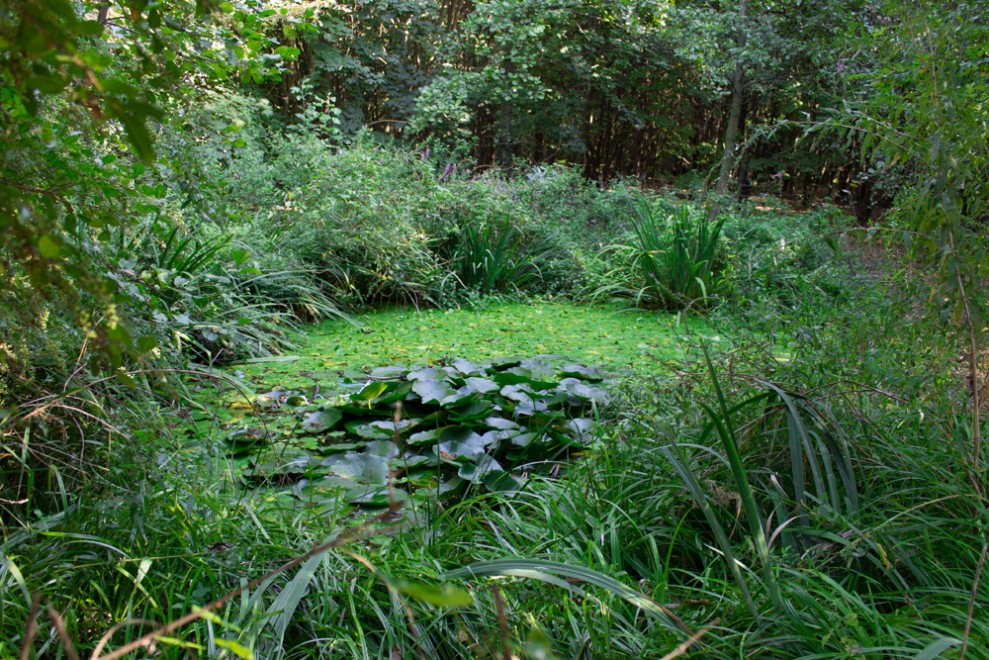 Sos natura, quante oasi Wwf da salvaguardare / 2