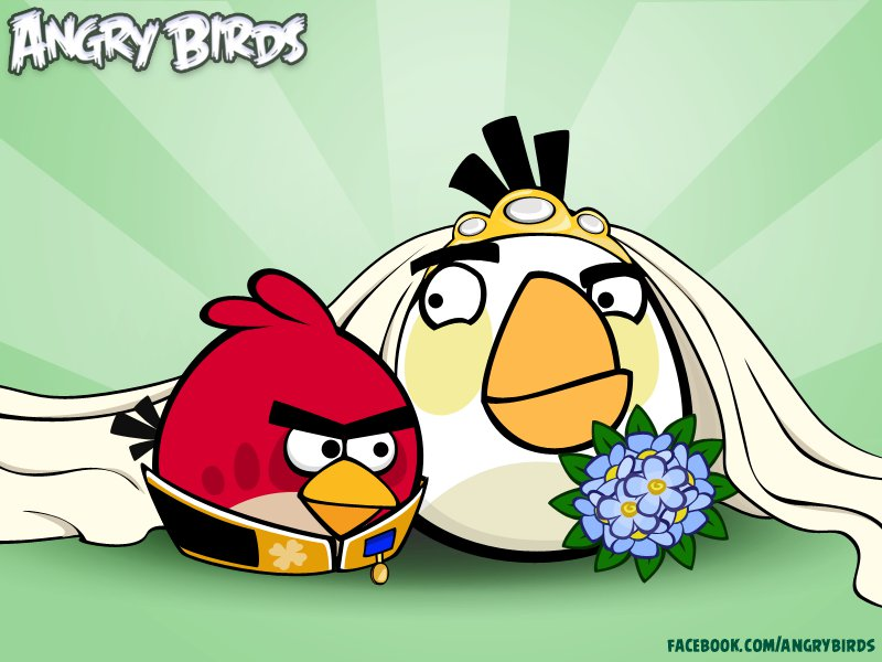 "Vuoi sposarmi?": lui lo chiede con Angry Birds