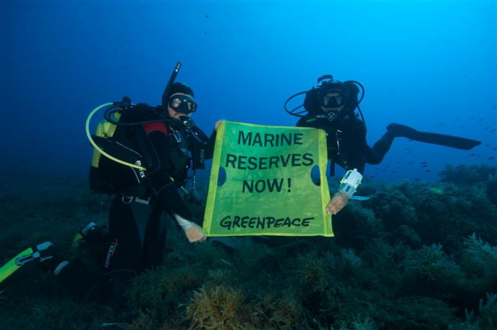 Allarme Greenpeace: ''I nostri mari sono in crisi''