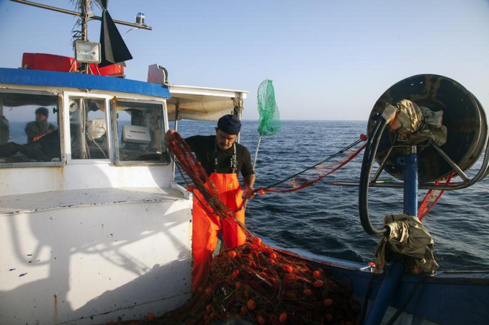 Allarme Greenpeace: ''I nostri mari sono in crisi''