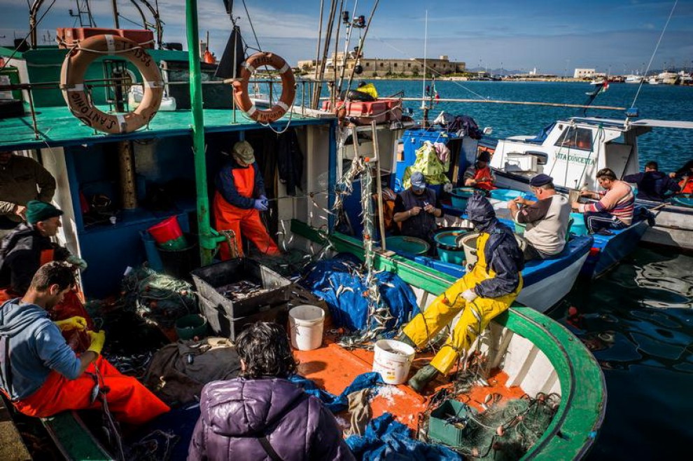 Allarme Greenpeace: ''I nostri mari sono in crisi''