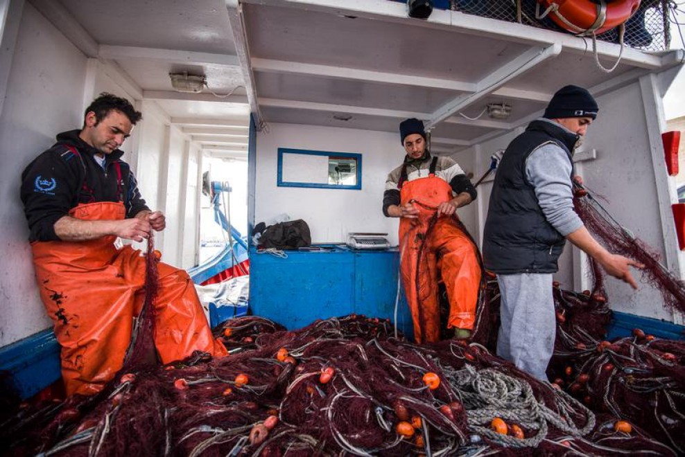 Allarme Greenpeace: ''I nostri mari sono in crisi''