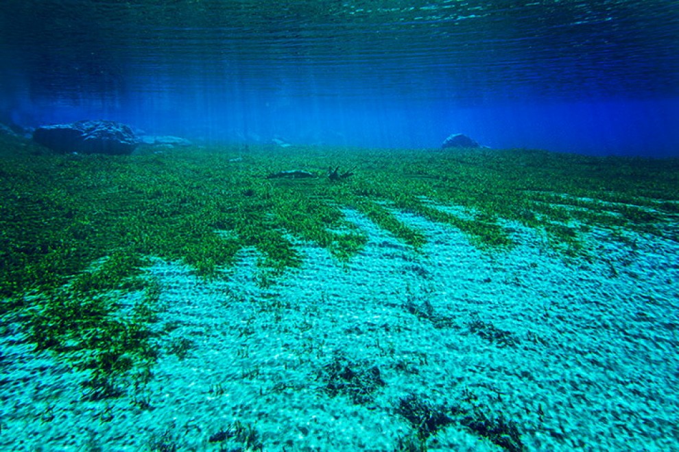 Nuova Zelanda, meraviglia della natura: scoperto il lago pi&ugrave; trasparente del mondo