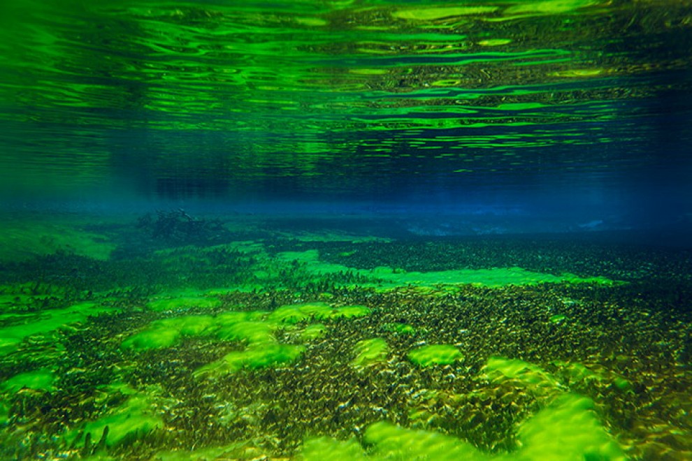 Nuova Zelanda, meraviglia della natura: scoperto il lago pi&ugrave; trasparente del mondo