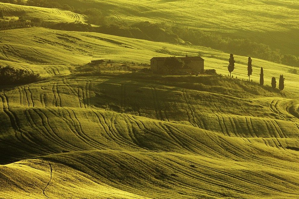 Il risveglio: l'alba nel mondo