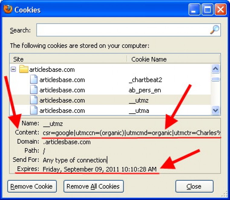 Cookie, le sentinelle dei browser