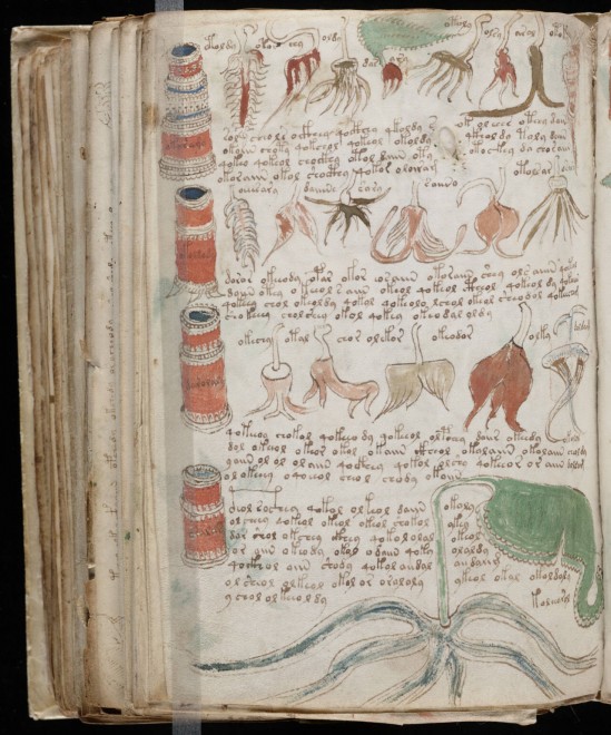 Voynich, nuove ipotesi sul manoscritto misterioso
