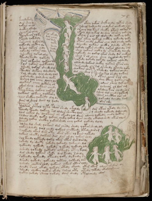Voynich, nuove ipotesi sul manoscritto misterioso