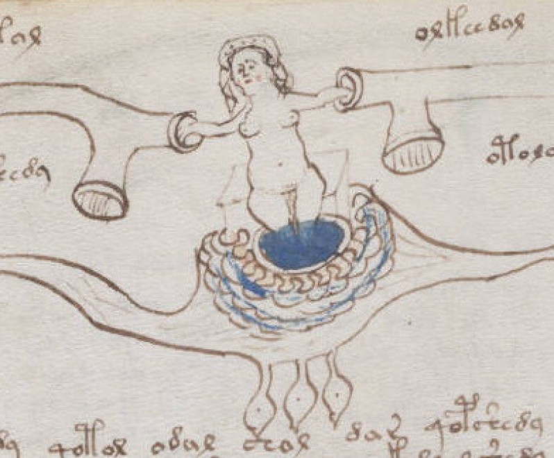 Voynich, nuove ipotesi sul manoscritto misterioso