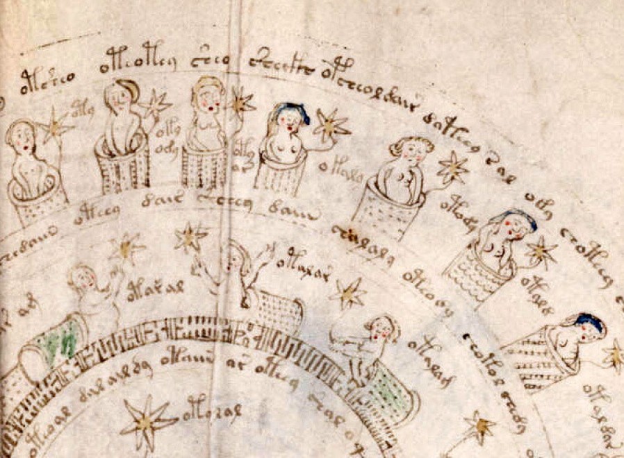 Voynich, nuove ipotesi sul manoscritto misterioso