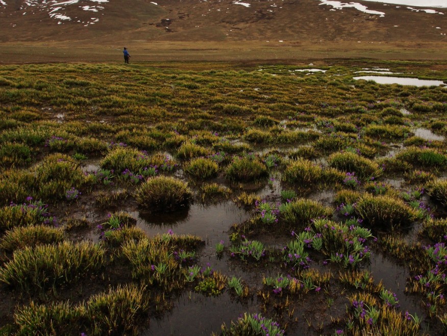 In Pakistan, a caccia di permafrost sul "trono dei giganti"