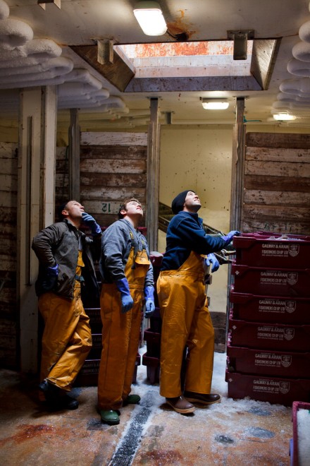 Degustazioni contro la pesca insostenibile